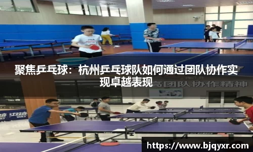 聚焦乒乓球：杭州乒乓球队如何通过团队协作实现卓越表现