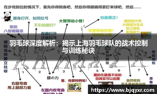 yy体育