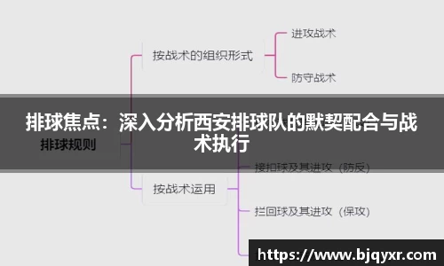 排球焦点：深入分析西安排球队的默契配合与战术执行