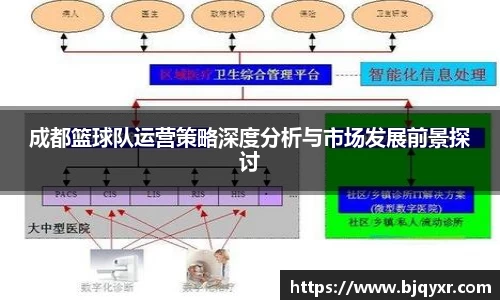 成都篮球队运营策略深度分析与市场发展前景探讨
