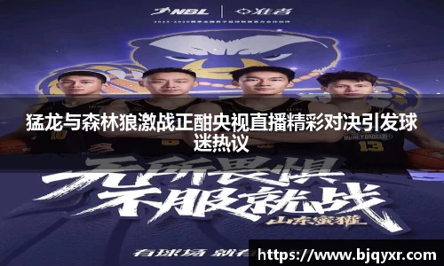 猛龙与森林狼激战正酣央视直播精彩对决引发球迷热议